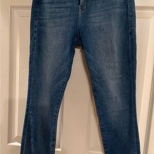 Good American Skinny Jeans in Medium Blue Wash